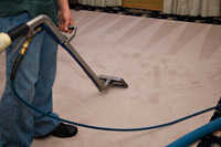 Steam Cleaning Carpet with hot water extraction by Ace Rug Cleaning