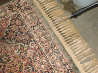 pre spray treatment for rug cleaning