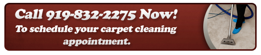 raleigh carpet cleaning by Ace Rug 919-832-2275