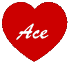 logo for Ace Rug Cleaning Raleigh NC