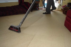 Raleigh Carpet Cleaner steam cleaning a carpet