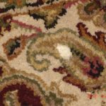 closeup view of rug damage