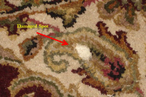 Area rug damage - hole in rug