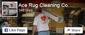 Ace Rug Cleaning on Facebook